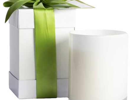 Two Wick Candle in Bamboo Supply